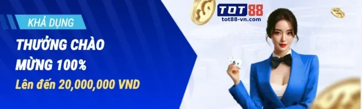 Hình ảnh chương trình VIP